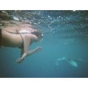 Susi Chemnitz's photo