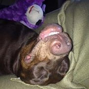 Caitlin Naughton's photo