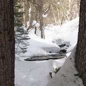 Vicki Kreis's photo
