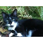 Cathie Schafer's photo