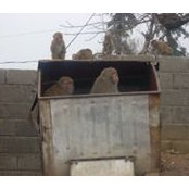Jo Repacholi's photo