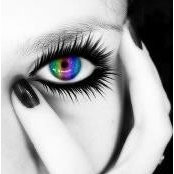 Pamela Tessmer's photo