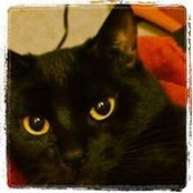 Michele Doppio's photo