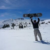 Dennis Koch's photo