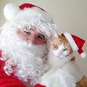 Carol Rice's photo