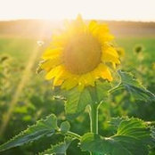 Gretta Johnson's photo