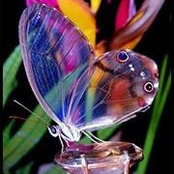 Hermena Thompson's photo