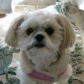 Sandra Lynn's photo
