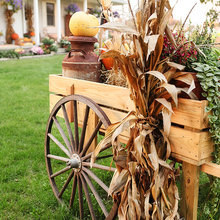 fall fun