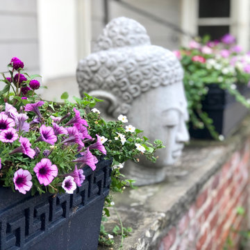 Summer Containers