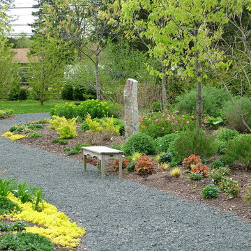 Deer Resistant Garden