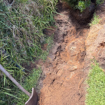 Commercial Landscape Enhancement