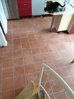 Fußbodenbelag – diese Möglichkeiten gibt es