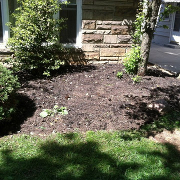 Zaccraya Cisse Spring Cleanup