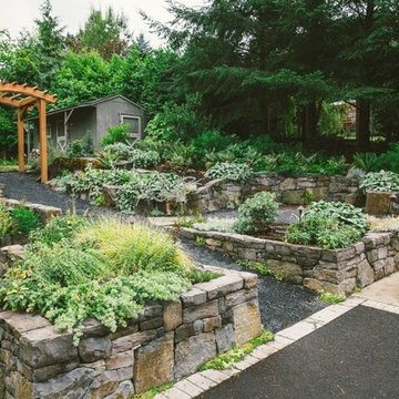 Audubon Certified Backyard Habitat