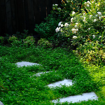 Pollinator Haven
