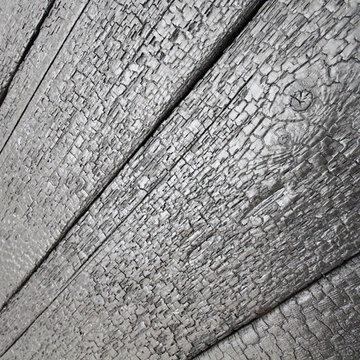 Charred Barn Door