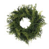 Vickerman Buckler Fern & Grass Wreath, Green, 24"