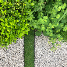 Garden Ideas