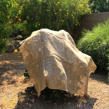 Landscape Maintenance