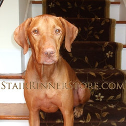 Pets on Stairs - Pet Supplies