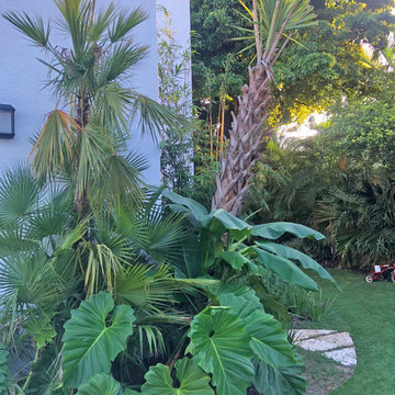 Buena Vista Garden
