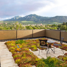 Roof garden