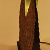Live Edge Wood sculptural  Light Fixture with glass and LED strip light