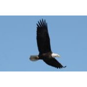 Debby Allen's photo