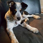 Leah Reisinger's photo