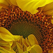 T Fenwicks foto
