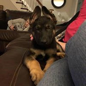 Amanda Hermann's photo