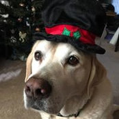 Connie Gutierrez's photo