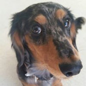 R Ellen Shoaff's photo