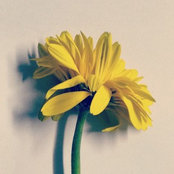designer_geniuss foto