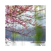 Lydia Hsiao's photo