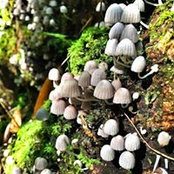 Kelli Dilley's photo
