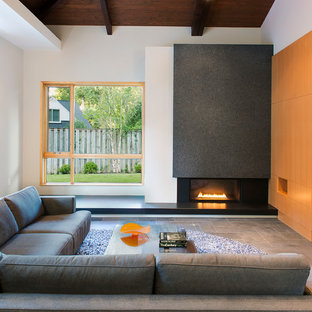 Moderne Wohnzimmer Mit Kaminumrandung Aus Stein Ideen Design Bilder Houzz