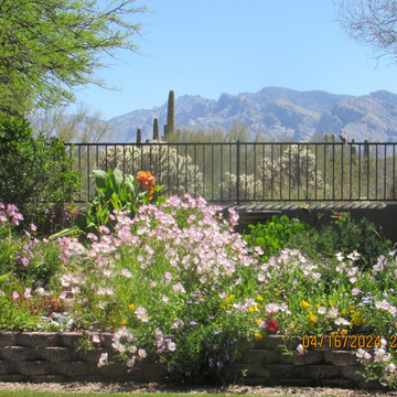 MCG Property Improvements Project