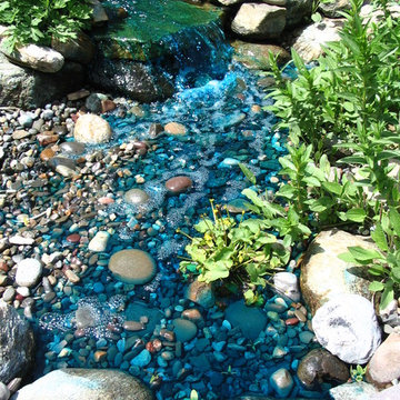 TJB-INC Display Gardens & Ponds - 12 Crestway Hamden