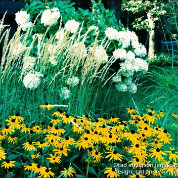 Late Summer Planting Detail.  Minnesota Cottage Gardens.
