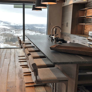 Mountain Contemporary | Mountain Village, CO