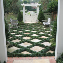 Frontyard