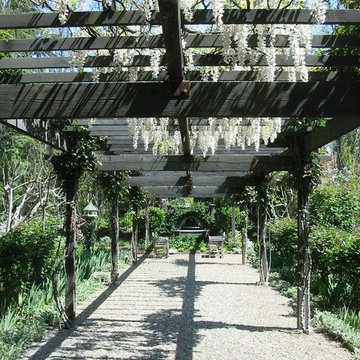 Arbors & Trellis'