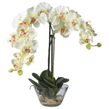 Phalaenopsis With Glass Vase Silk Flower Arrangement, White