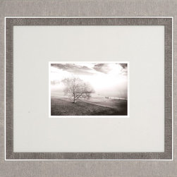 Linea Custom Frame Collection - Picture Frames