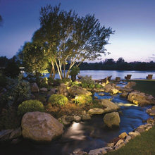 pond
