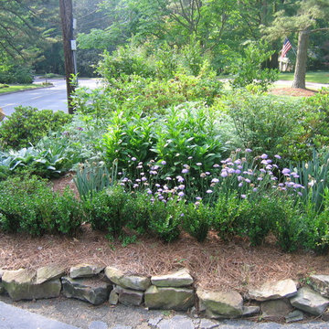 Garden Vignettes