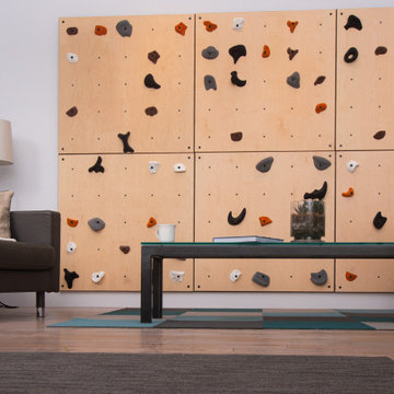 Living Room Climbing Wall