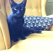 Emily Baker's photo